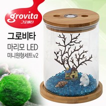 그로비타 마리모 LED 원형 어항 세트 V2/키우기 키우는방법 모스볼 마리모밥 장식품 수족관 베타 소품 수조