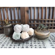 [대영유통] 삼색두텁떡 (40g*42알) 1.68kg 냉동떡 국내산 찹쌀, 1개