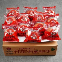 (리더스팜) 썬플러스 세척사과 2.5kg(10-17과)가정용
