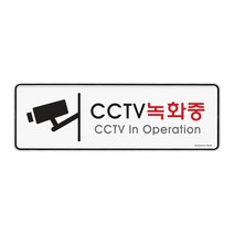 아트사인 CCTV녹화중 255x85x5T 9101, 단품
