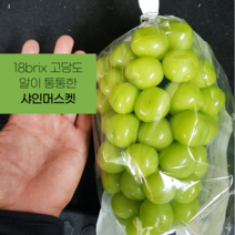 [재구매 1위] 고당도 선별 샤인머스켓, 특상품 1.3kg