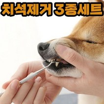 나비빈 강아지 셀프 스케일링 3종 치석제거기 입냄새제거 고양이