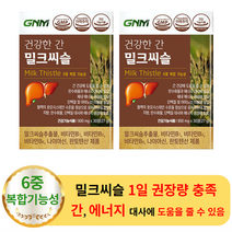 GNM 건강한 간 밀크씨슬 30정 (2박스)- 간 보호 건강 영양 기능 개선 밀크시슬 실리마린 부모님 남편 직장인 회식 음주 에 좋은 엉겅퀴 피로 피곤할 때 milk thistle