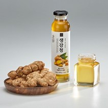 꿀을그린사람들 생강청400g 국내산 생강추출액 벌꿀 사탕수수 올리고당 HACCP, 1개, 400g