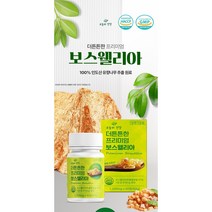 무릎 손목 손가락 관절 연골 영양제 보스웰리아 120정 상어연골콜라겐 초록입홍합분발 함유