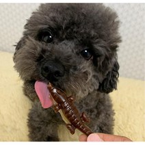 육류알러지있는 강쥐용 관절건강 덴탈껌 가수분해 구강 입냄새 말티즈 눈물, 1개