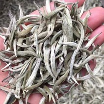 운남 백호은침 Bulk 고대 나무 백차 백호은침 Single White New Tea Bulk 차, 250g 대량 샘플 음료