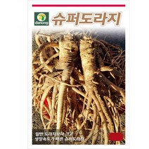 다-슈퍼도라지 5g 도라지씨 도라지종자 도라지씨앗
