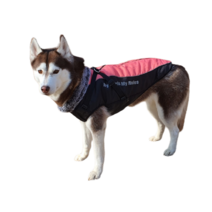 강아지패딩 강아지 애견 대형견 패딩조끼 패딩하네스, 핑크