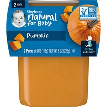 거버 Pumpkin Sitter 2 Pack 4 oz (113 g) Each