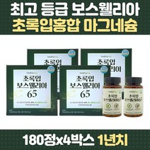 70대 부모님 고햠량 보스웰리아 초록입홍합 마그네슘 비타민B 보스웰릭산 유향 유황나무 칼슘 아연 셀레늄 테르페노이드 추천 선물 HACCP 엽산 중년 여성 남성 50대 60대 80대