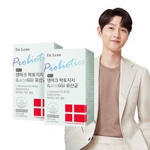 [공식] 닥터린 WCS 덴마크 락토지지 유산균 (L.rhamnosus GG 유산균/프로바이오틱스/비타민D/아연/셀렌) NOCHESTEM, 2개, 30포