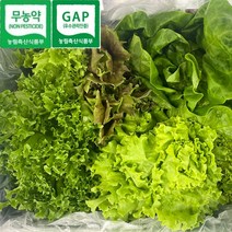 친환경 무농약 유로피안 샐러드 야채 1kg, 유로피언 샐러드 야채 1kg