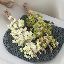베라세덤번들10개입o 35cm 조화 장식 소품 FAIAFT, 오렌지