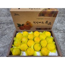 제주직송 고당도 제주 서귀포 황금향 선물세트, 중대과, 1개, 3kg