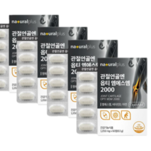 관절연골엔 관절MSM 2 000mg 관절 msm2000 엠에스엠 msm, 4개, 4개월