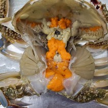 당일 조업으로 신선한 연평도 제철 알배기 봄 암꽃게, 연평도 활 암꽃게 1kg