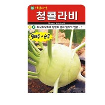 SN월드 뿌리채소 씨앗 무 당근 양파 알타리무 비트 콜라비 과일무, 그린콜라비