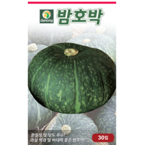 갑조네 밤호박 씨앗 30립