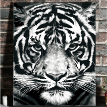 호랑이 색칠 컬러링 DIY 유화 그리기 백호 피포 페인팅 명화 캔버스 흑백 화판 아크릴, 50x65 + 호랑이 + 세트