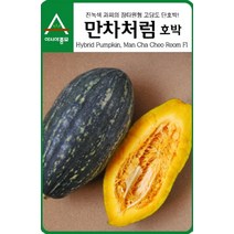 단호박씨앗종자 만차처럼 10립 asa