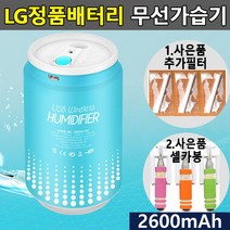 국산 LG배터리 무선가습기 미니가습기 차량용가습기 휴대용가습기 초음파가습기65763802EA, 본상품선택