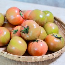 하늘농원 부산 대저 토마토 찰 완숙 토마토 농장 2.5kg, 대저찰토마토 2.5k (랜덤과)