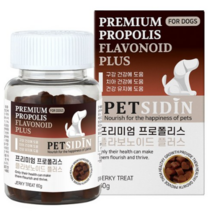 펫시딘 프로폴리스 플라보노이드 강아지 구강 영양제, 8세트