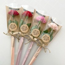 둥둥플라워 비누꽃 한송이 꽃다발 입학식 졸업식 수료식 시상식 행사 꽃선물, 레드와인 카네이션