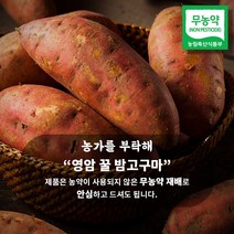 무농약 영암 세척 꿀고구마 3kg 5kg 10kg, 3kg 한입, 1개
