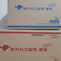 웅진-첫 지식그림책 콩알/전62권/최신간/미개봉 새책