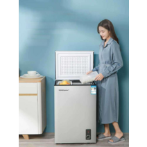 소형 김치 냉장고 서랍식 술장고 식자재 미니 냉장실, 50L