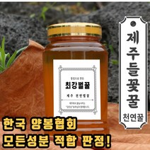 추천 꿀가격 인기순위 TOP100 제품