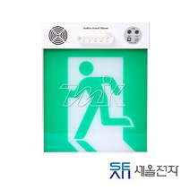 비상유도등 피난유도등 음성 점멸 유도등 대형 (20700), 녹색, 1개