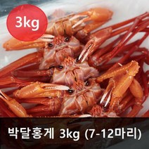 박달홍게 3kg 대(6~8마리 내외) 찜배송