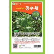 브랜드없음 베이비(샐러드)경수채 씨앗30g[OS], 단품없음