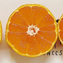 못난이 제주 감귤 정품 타이벡 노지 조생밀감 당도보장 제주귤, 못난이귤 (2S) 5kg, 1개