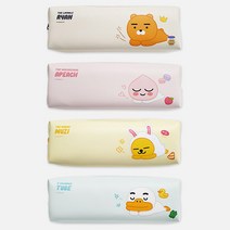카카오프렌즈 사각필통 펜케이스, 라이언
