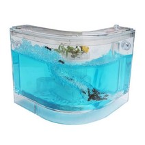 ㄱ 자형 개미관찰.개미집.곤충키우기.개미키우기