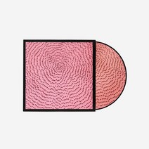 [정품] 블랙핑크 바이닐 LP 더 앨범 바이 제니퍼 구이디 갤러리 픽쳐 Blackpink Vinyl The Album By Jennifer Guidi Gallery Picture