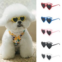 강아지 고양이 하트 선글라스 반려동물 안경 5종 세트