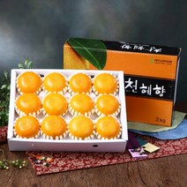 [명절선물] 천혜향 선물세트 설 명절 구정 선물 3KG, 2호