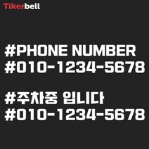 차량용 주차 전화번호 알림 판 전사 스티커 빌라, 옐로우, A타입