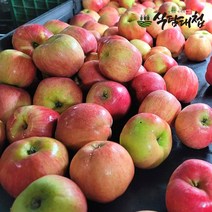 식탐대첩 경북 가정용 가을 빨간사과 5kg중대과 18과내, 단품