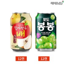해태 갈아만든배 포도봉봉 340ml 2종 24캔 세트, 단품, 단품