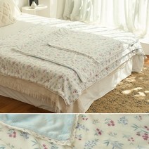 다온 극세사 무릎담요