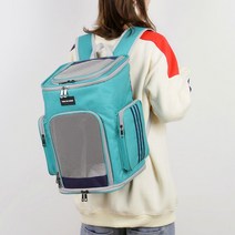 강아지 오토바이 웰시코기 매는 가방 반려견백팩