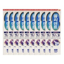 [대용량] 폴리덴트 맥스씰 의치 부착재 70g X10개