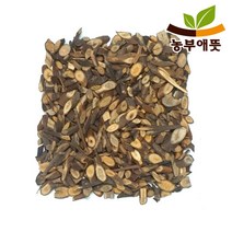 농부애뜻 계지 육계나무 어린 가지 600g 계피나무, 1개