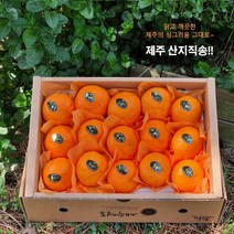 첫 출하! 제주 제철과일 카라향 1.5kg 2.5kg 3.5kg(선물용) 나른한 봄을 깨우는 싱그러운 과즙이 팡팡, 3.5kg(17-25수  선물용)